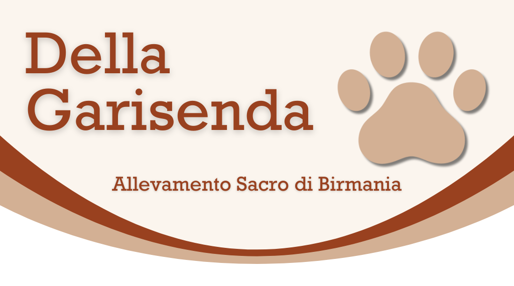 Tutte le nostre newsletter